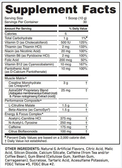 Optimum Nutrition Essentials Stack